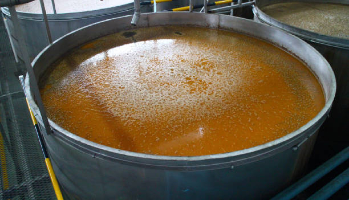 Fermentation