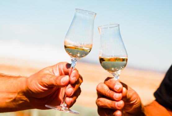 brindis